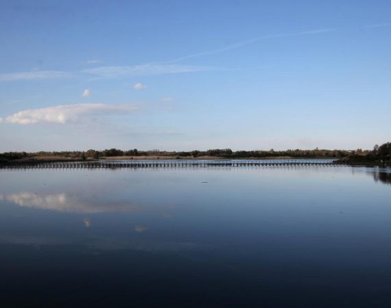 LAGUNA DEL CALICH